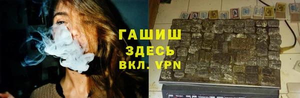 мдпв Гусь-Хрустальный