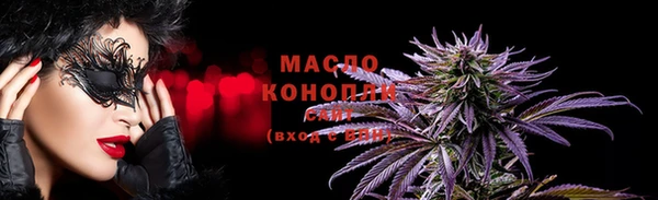 мдпв Гусь-Хрустальный