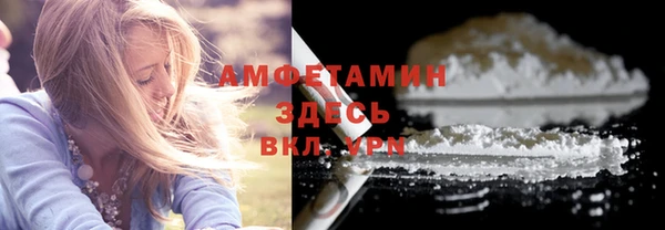 мдпв Гусь-Хрустальный