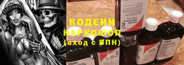 первитин Гусев